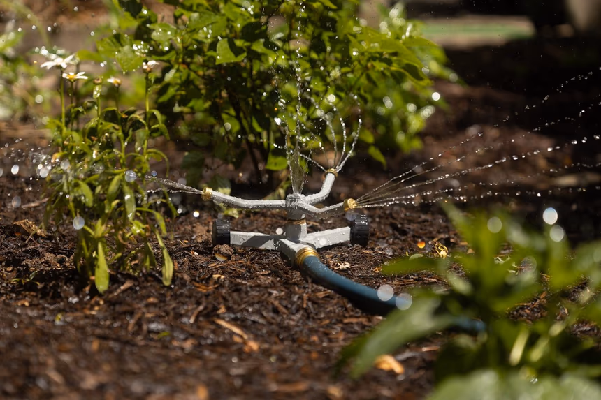 A rotating spray sprinkler throwing water through the air across a mulched planting bed